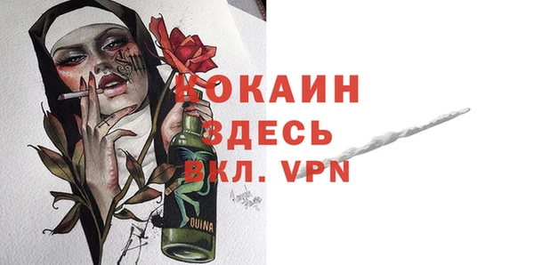 индика Богородск