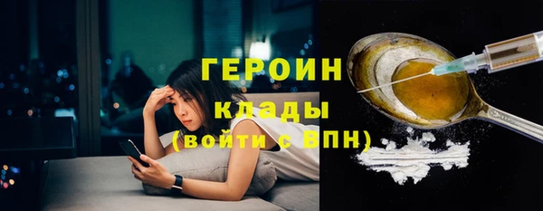 индика Богородск