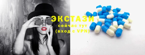 индика Богородск