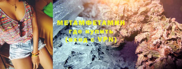 индика Богородск