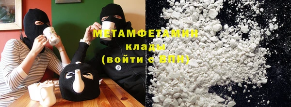 индика Богородск