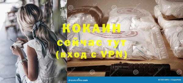 индика Богородск