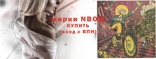 индика Богородск