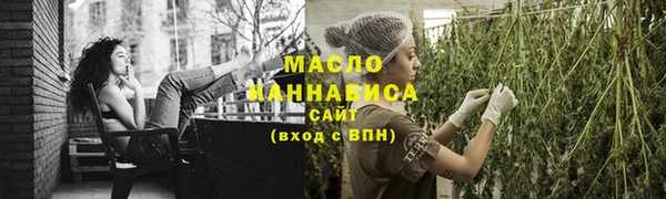 индика Богородск