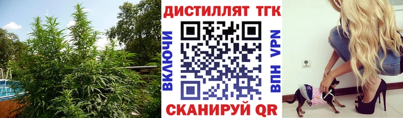 Купить  Лукоянов  ТГК гашишное масло 