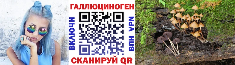 Галлюциногенные грибы Cubensis  Купить где  Лукоянов 